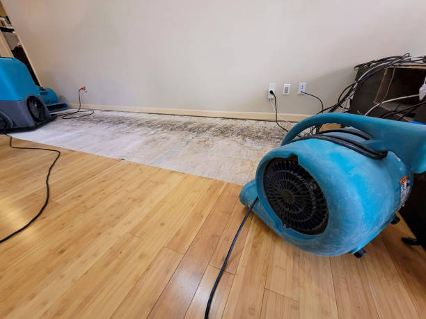 Professional Structural Drying technician working in Moscow, OH